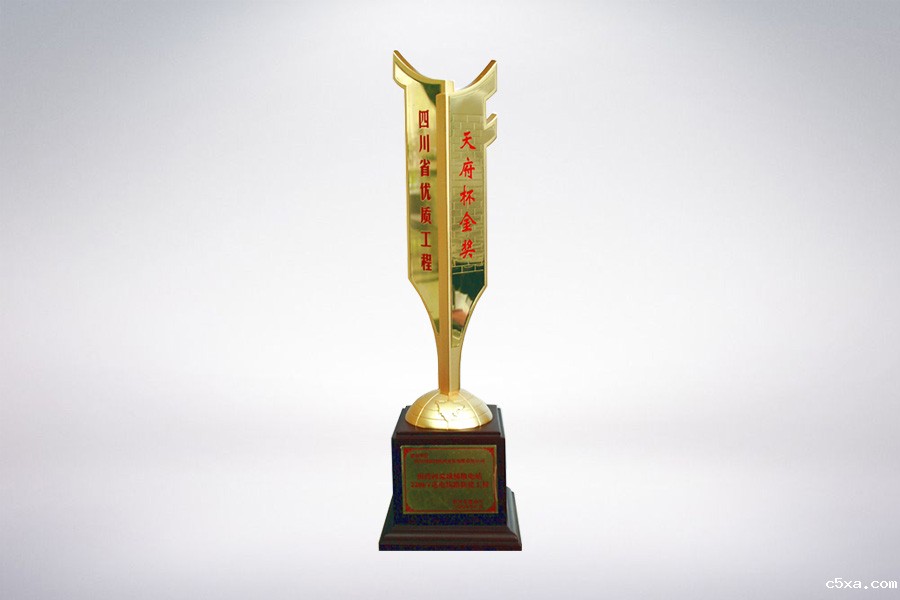 天府杯金奖